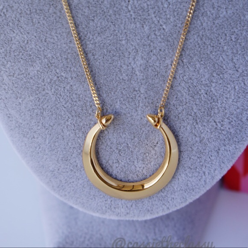 Stella & Dot gold double horn pendant